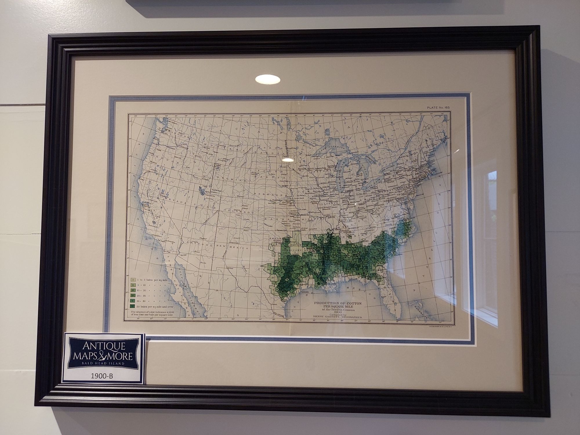 Production of Cotton per square mile at the Twelfth Census